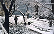 Lovran under snow